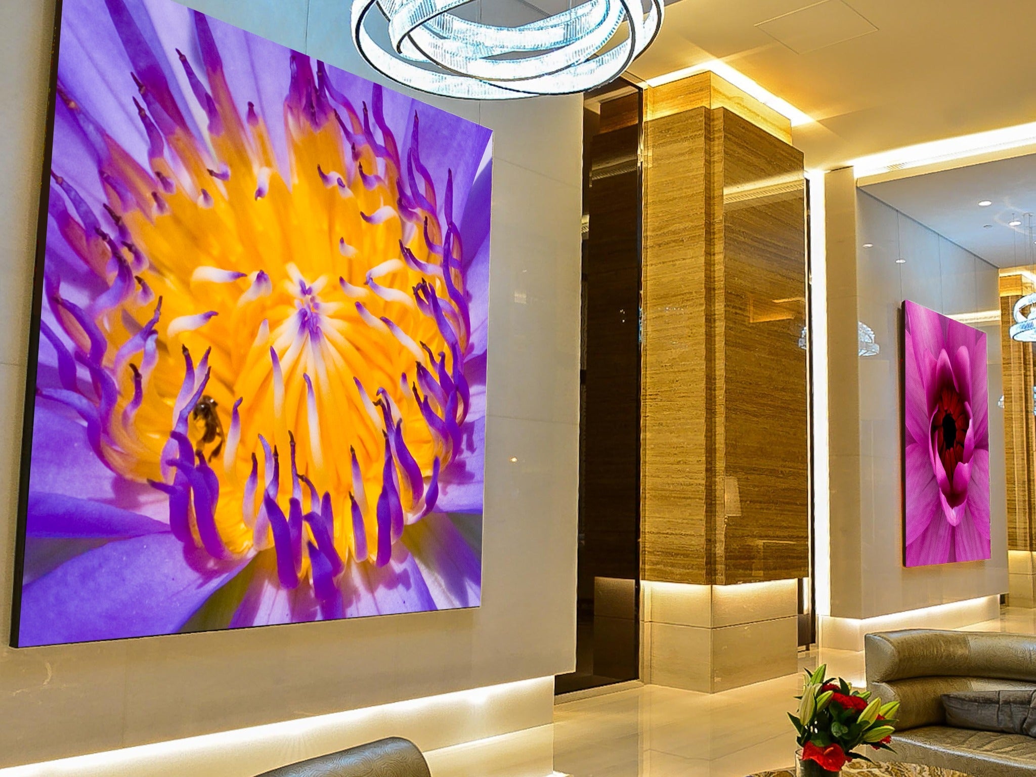 Douglas Beattie Luxury Photography