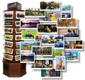 Pack of 10 postcards, Standard Size