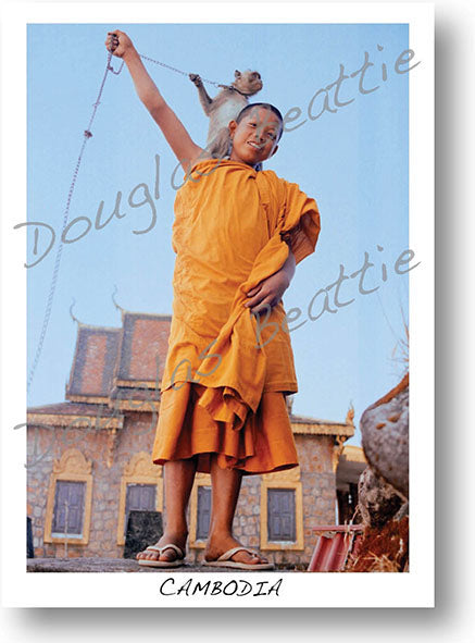 Pack of 10 postcards, Standard Size