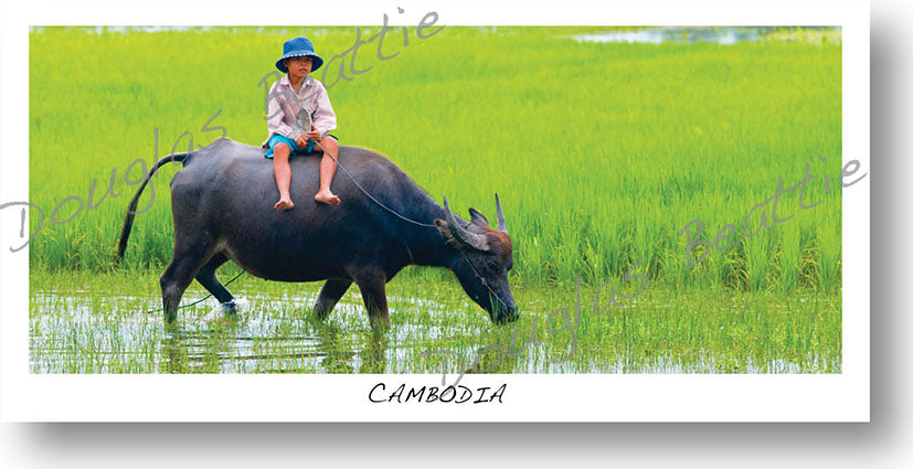 Pack of 10 Postcards, Panorama size