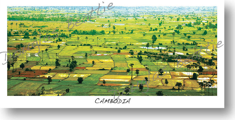 Pack of 10 Postcards, Panorama size