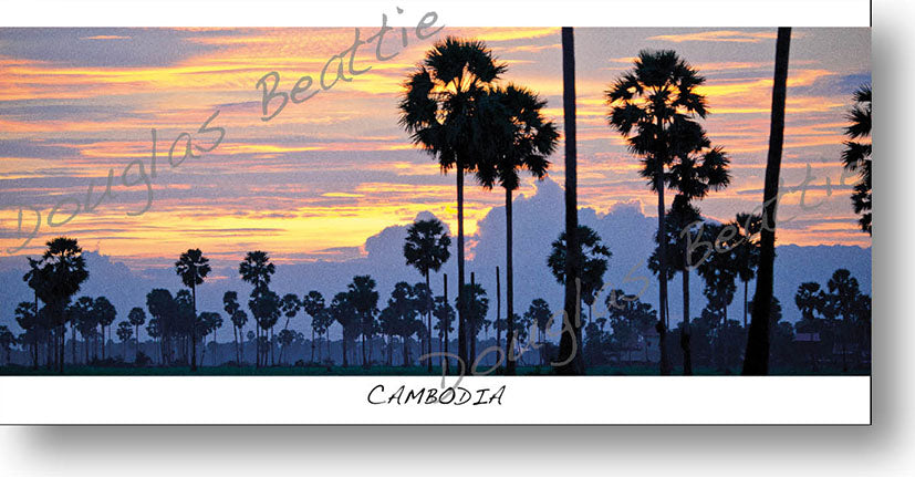 Pack of 10 Postcards, Panorama size