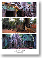 Pack of 10 postcards, Standard Size